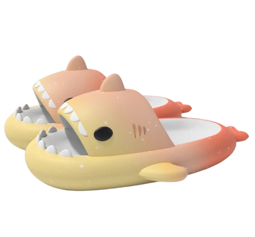 Multicolor shark slippers